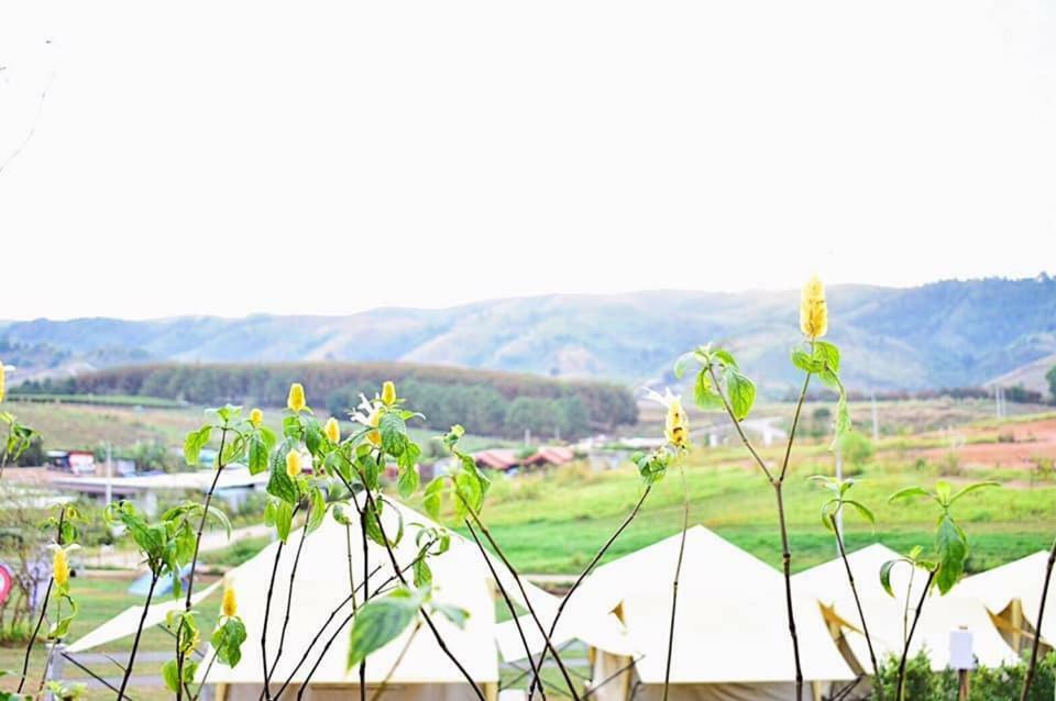 Kondee Cino Cafe & Glamping Hotel Sankt Gallenkirch Exterior foto